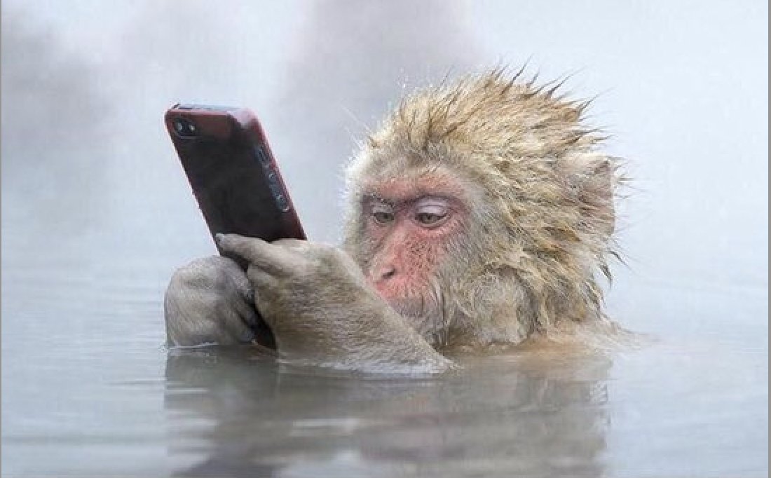 grishmapolitan's tweet image. 