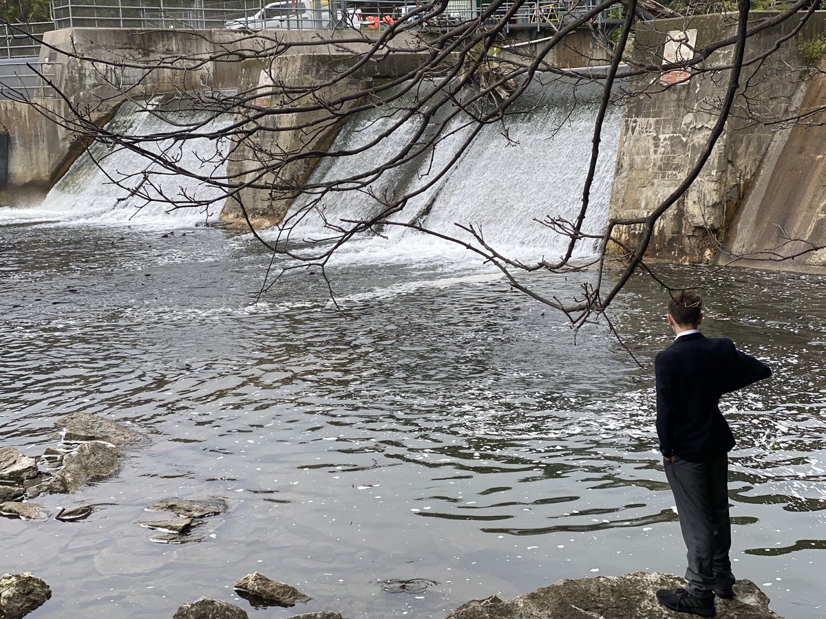 AlieElliott's tweet photo. ⁦@TCSBears⁩ Gr8’s enjoyed a walk to #corbettsdam to view the annual #salmonmigration up the #ganaraskariver ⁦@EcoSchoolsCAN⁩ https://t.co/gbFTeNVHCK