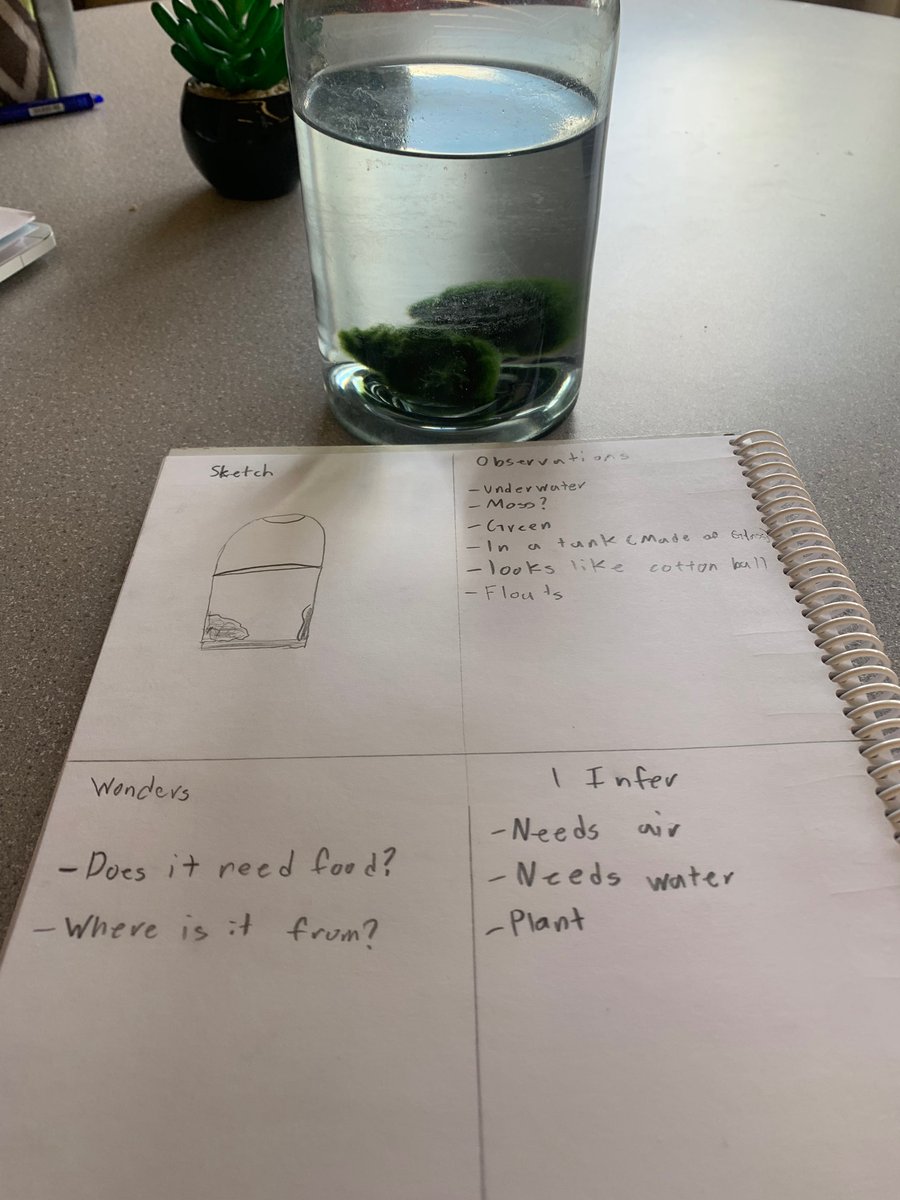 Grade 5 students worked on making observations and inferences while looking closely at a variety of items.