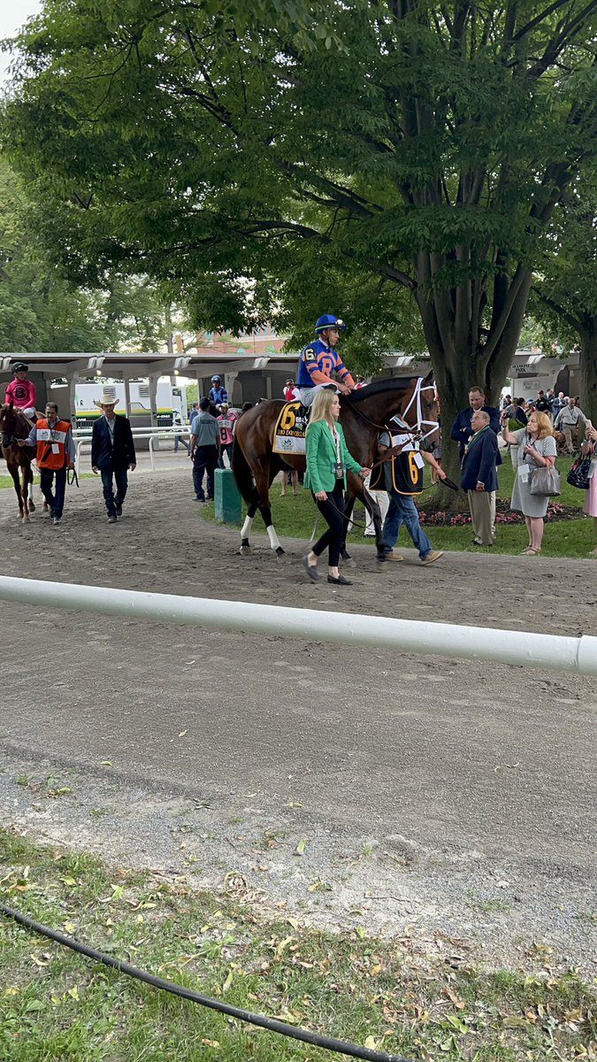 Justify3107's tweet photo. Unfortunate seeing Mo Donegal retire this young ☹️ Don’t think he reached his full potential, but hopefully he has a successful breeding career. Really no bad race in his career. I was lucky to see him in his career finale! #MoDonegal https://t.co/bHZyL329X3