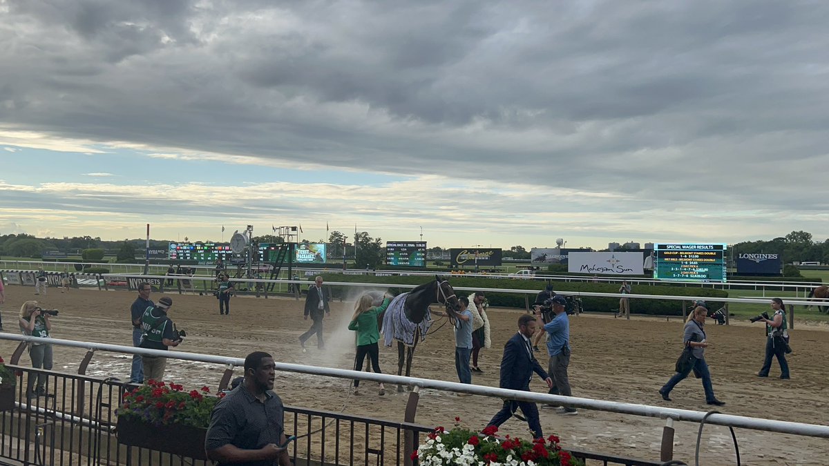 Justify3107's tweet photo. Unfortunate seeing Mo Donegal retire this young ☹️ Don’t think he reached his full potential, but hopefully he has a successful breeding career. Really no bad race in his career. I was lucky to see him in his career finale! #MoDonegal https://t.co/bHZyL329X3