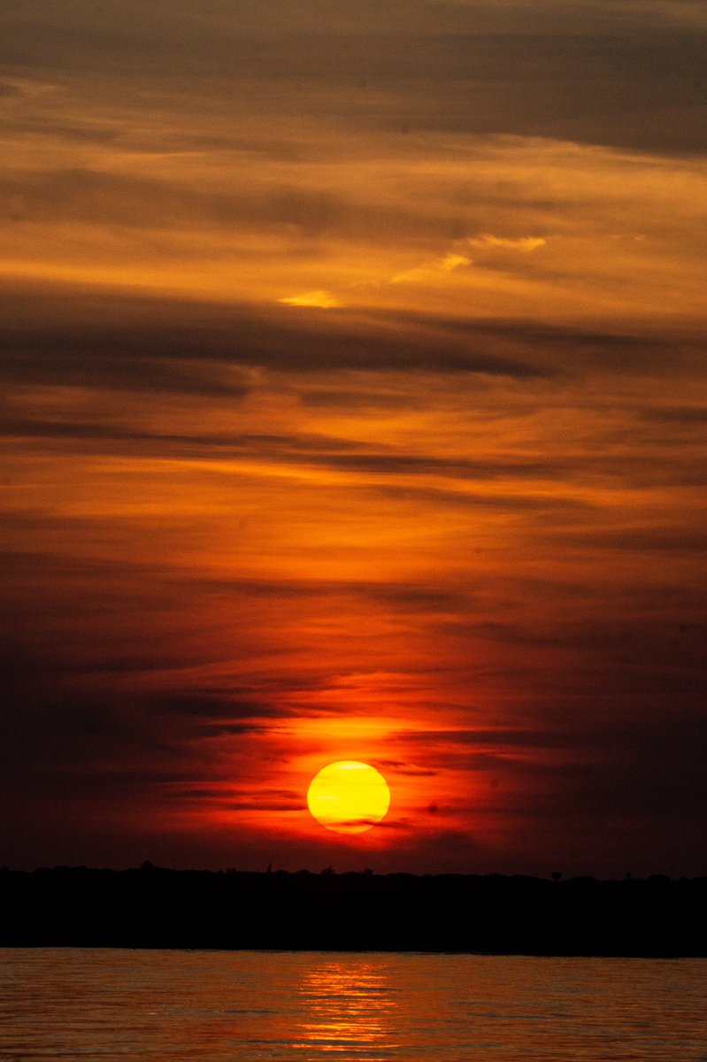 rivsauber's tweet photo. It’s the weekend!
#sunset #sunsetphotography #sunsets #septembersunset #goldenhour #SonyAlpha #sayville https://t.co/bNaqZtkqYz