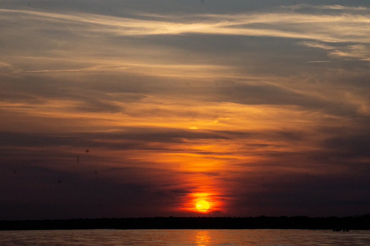 rivsauber's tweet photo. It’s the weekend!
#sunset #sunsetphotography #sunsets #septembersunset #goldenhour #SonyAlpha #sayville https://t.co/bNaqZtkqYz