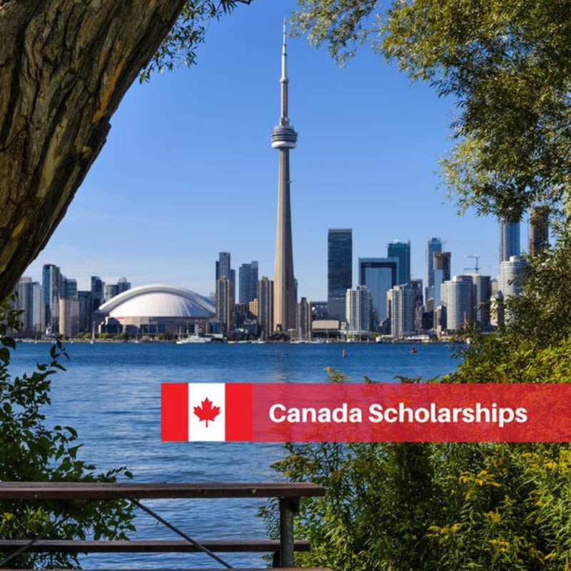 9scholarships's tweet photo. 100% Canadian University Scholarships for International Students 🇨🇦