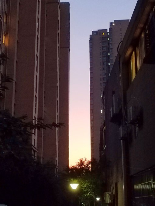 willbeshiny's tweet photo. #晚霞 #sunset #photography 
What do you want in life? Get rich and free. https://t.co/wjUFER0aPz
