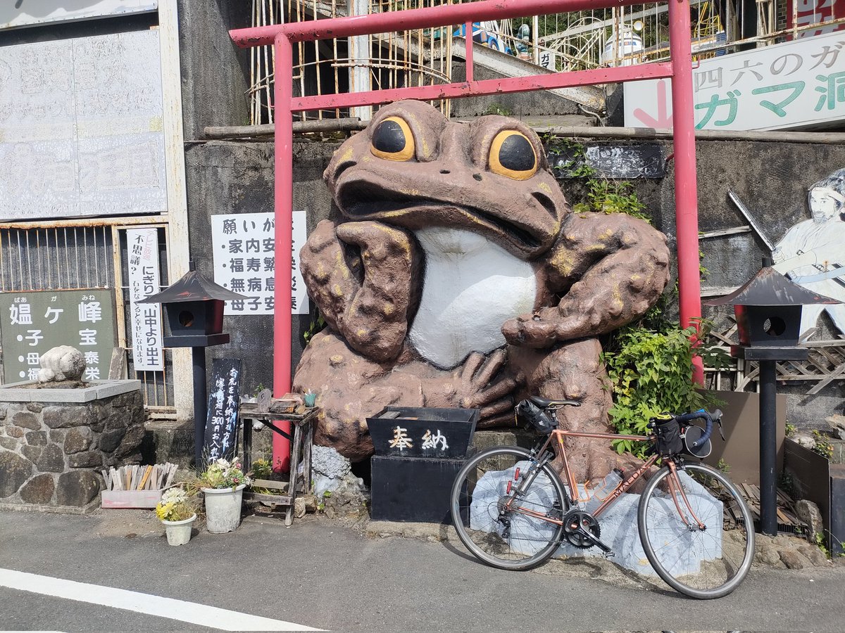 Nisepicachu1's tweet photo. 今日はここ https://t.co/KhwV0K44G9