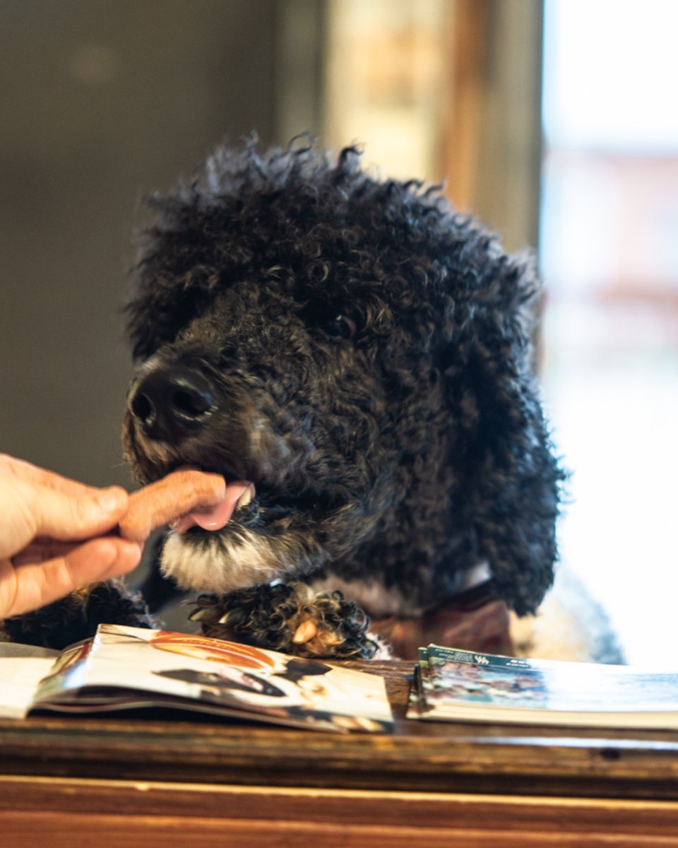 You've worked hard all week, so throw yourself a bone and have a drink at Riverwatch Brewery: 1176 4th st Augusta, GA 30901.