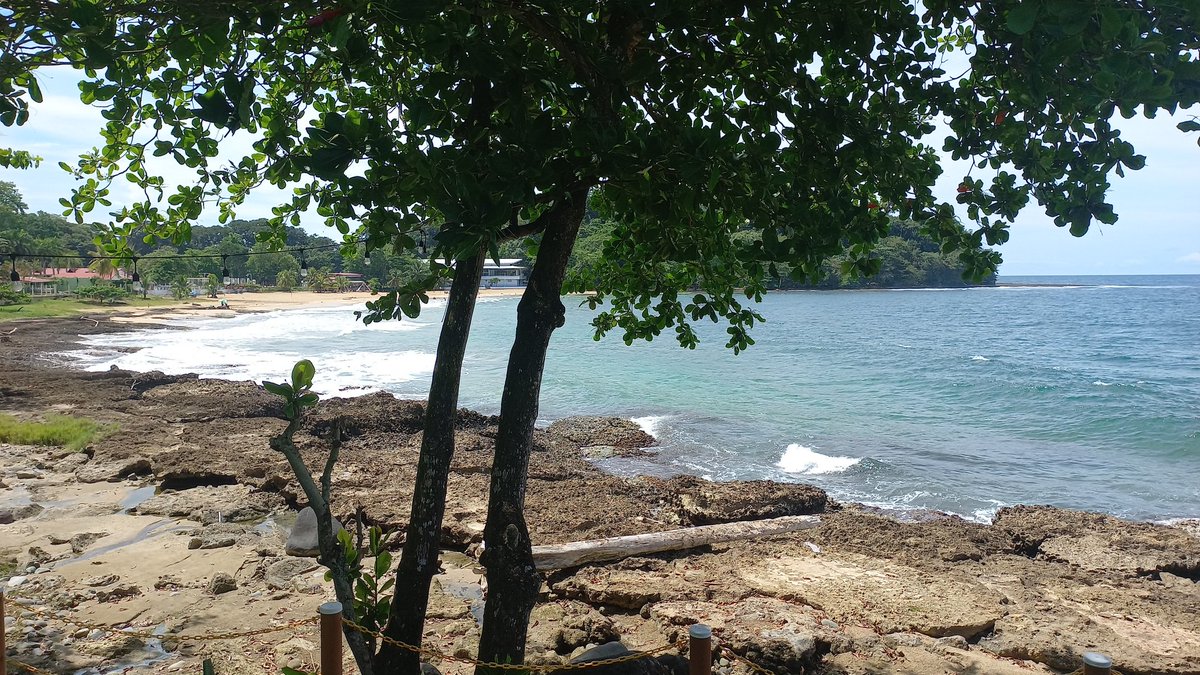 Jonathan Castro tweet media