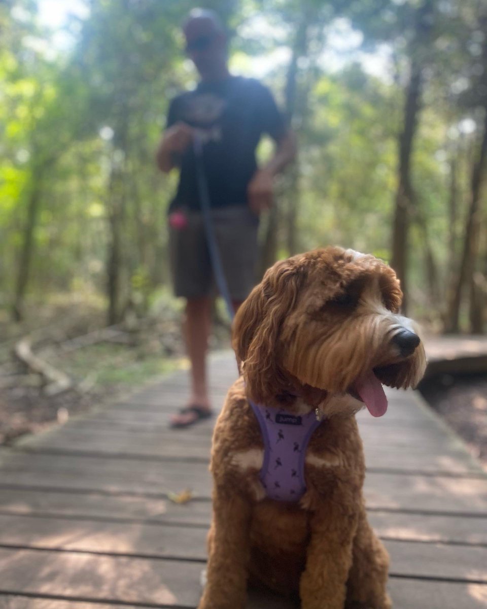 BrieMcComb's tweet image. Fall Hikes you + me + pearl + starbucks. @cityofguelph #hanloncreek #fallhikes #pearl💜