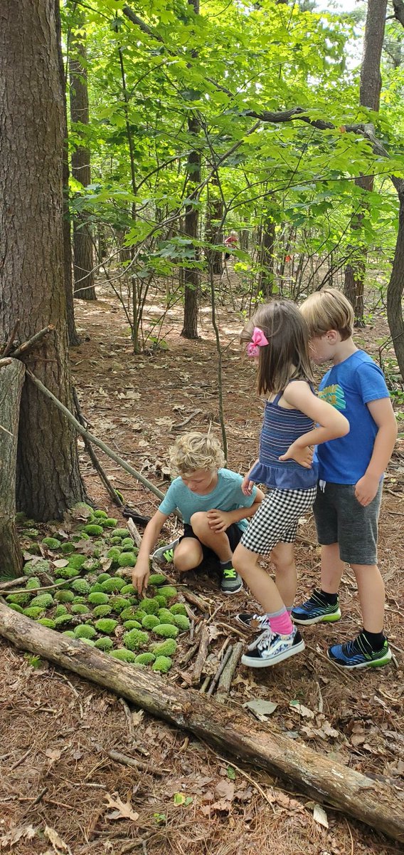 They might not have agreed on what they were making but they were still working together!
#forestfriday