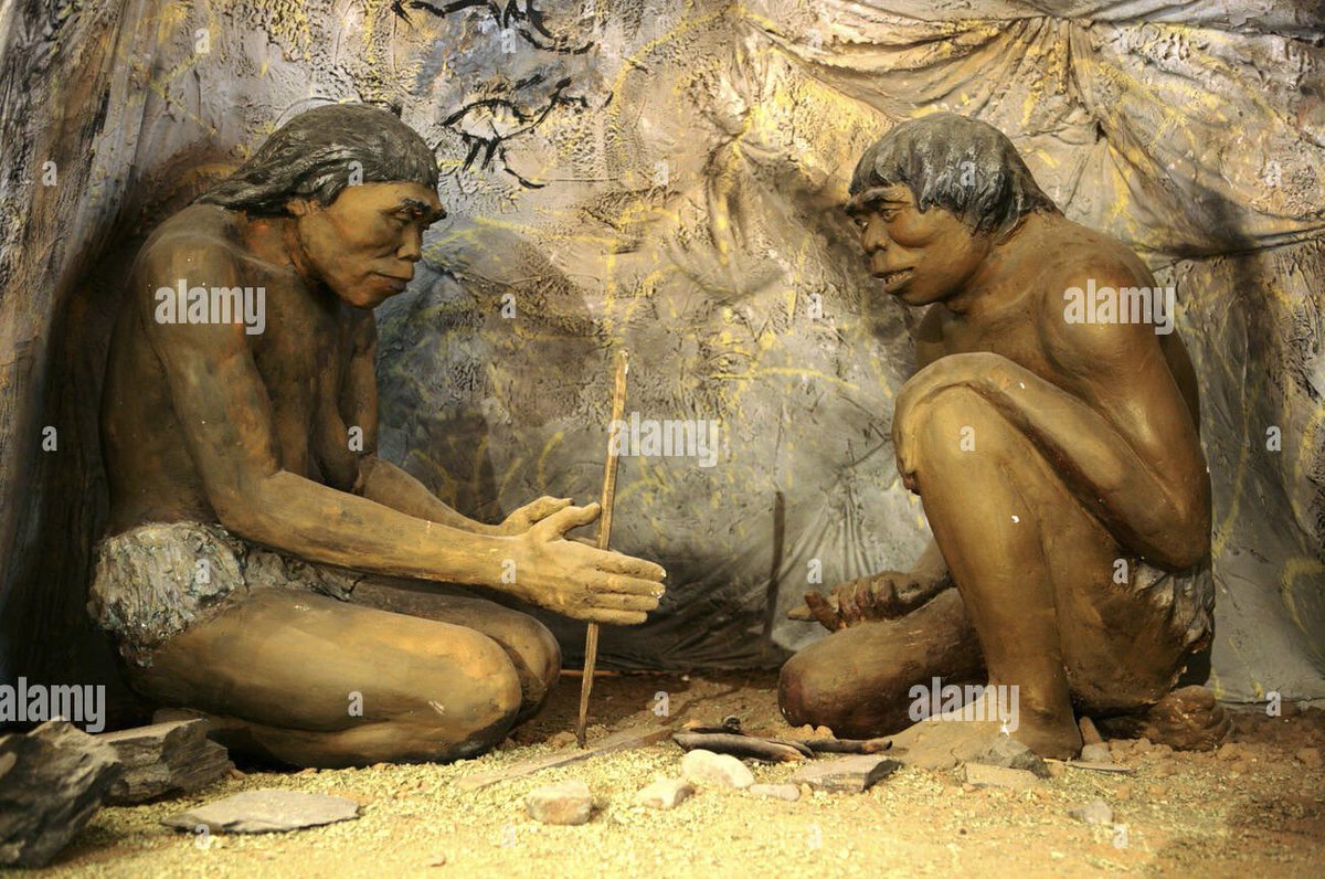 Septum Bone tweet media