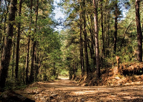 El Presupuesto de Egresos de la Federación, 2023, contempla para Conagua el incremento de ingresos de 90.5%, en materia ambiental, para el resto de dependencias federales la distribución de recursos contempla 9.5%.
ow.ly/pTZE50KM6TV