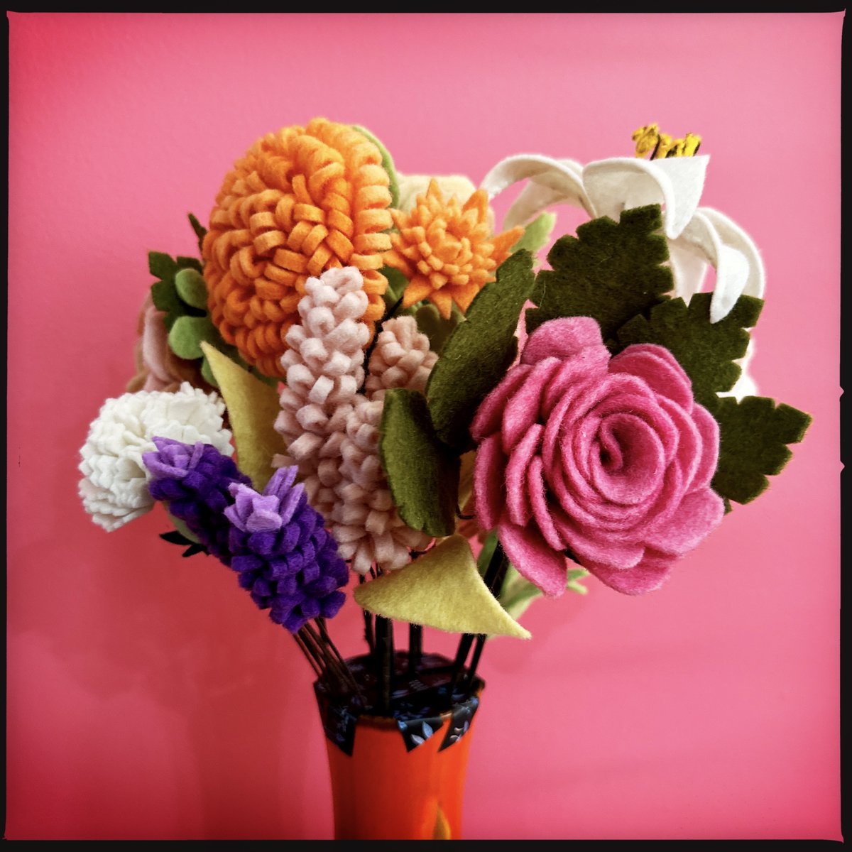 Catriona Mills tweet media