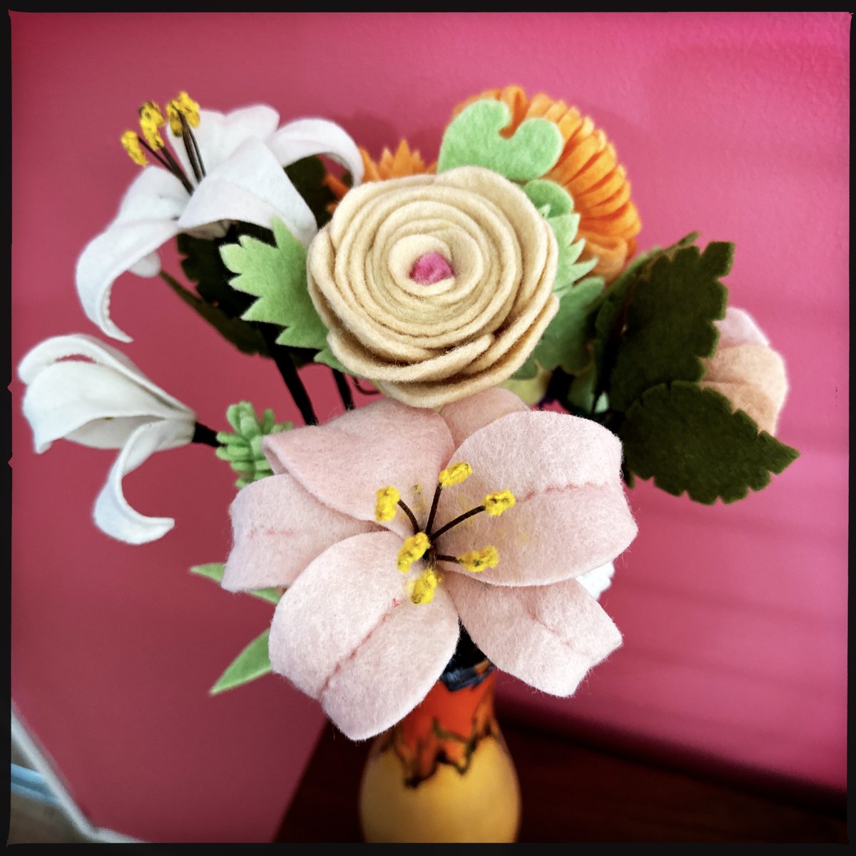 Catriona Mills tweet media