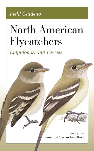 CinTyLeeEarth's tweet image. Field Guide to North AmericanFlycatchers - Empids and Pewees is coming. A life long pursuit by @LALABirding and me. Part one of a three part series. press.princeton.edu/books/paperbac…