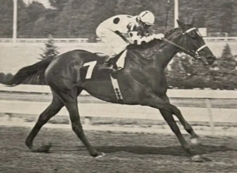 HORSERACING1002's tweet photo. DOUBLE DELTA🇺🇸(DELTA JUDGE)#DoubleDelta 
Winning 1971 Beldame Stakes https://t.co/E5ejCDGUeZ