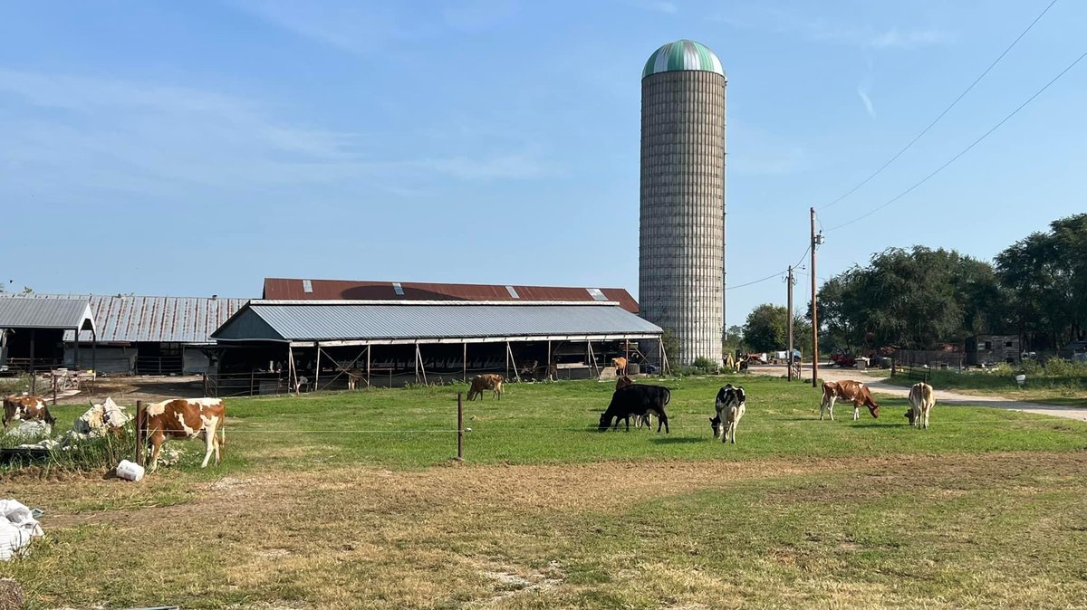 John_C_Russell's tweet photo. Great day touring various @GreeneCountyMO agriculture operations, businesses and a nonprofit that has a large agriculture component. Agriculture has significant impact on local families and plays a vital role in our economy. https://t.co/HVeZJG6Mkq