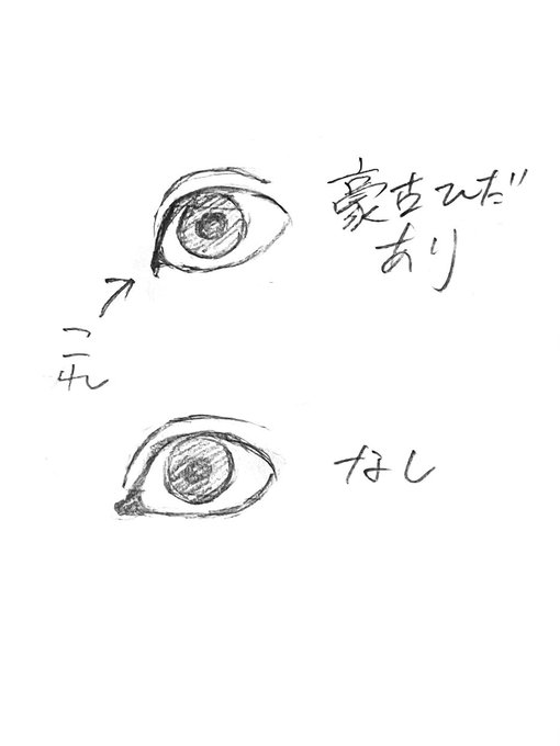蒙古ひだ 