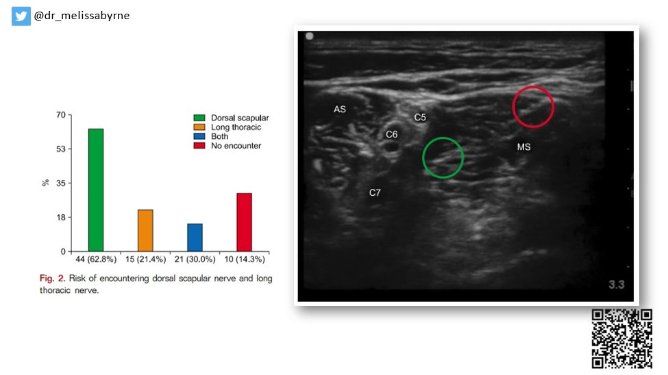 dr_melissabyrne's tweet photo. 10/ #AOCAVAPOR22
The future of regional should emphasize #SAFETY โ use #nervestimulation to identify dorsal scapular and long thoracic during interscalene block to avoid injury
@AOCAOsteo @ASRA_Society https://t.co/ueMDwKI2y9