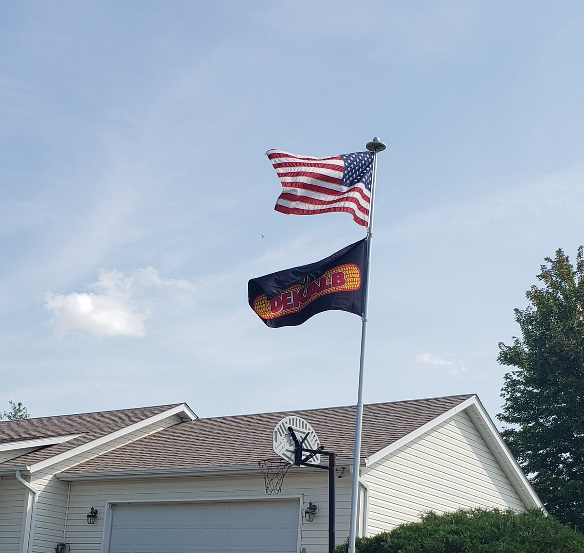 True American colors flying over this farm 🇺🇸🌽
