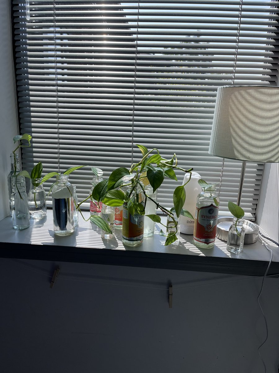 Mallory Weeks tweet media