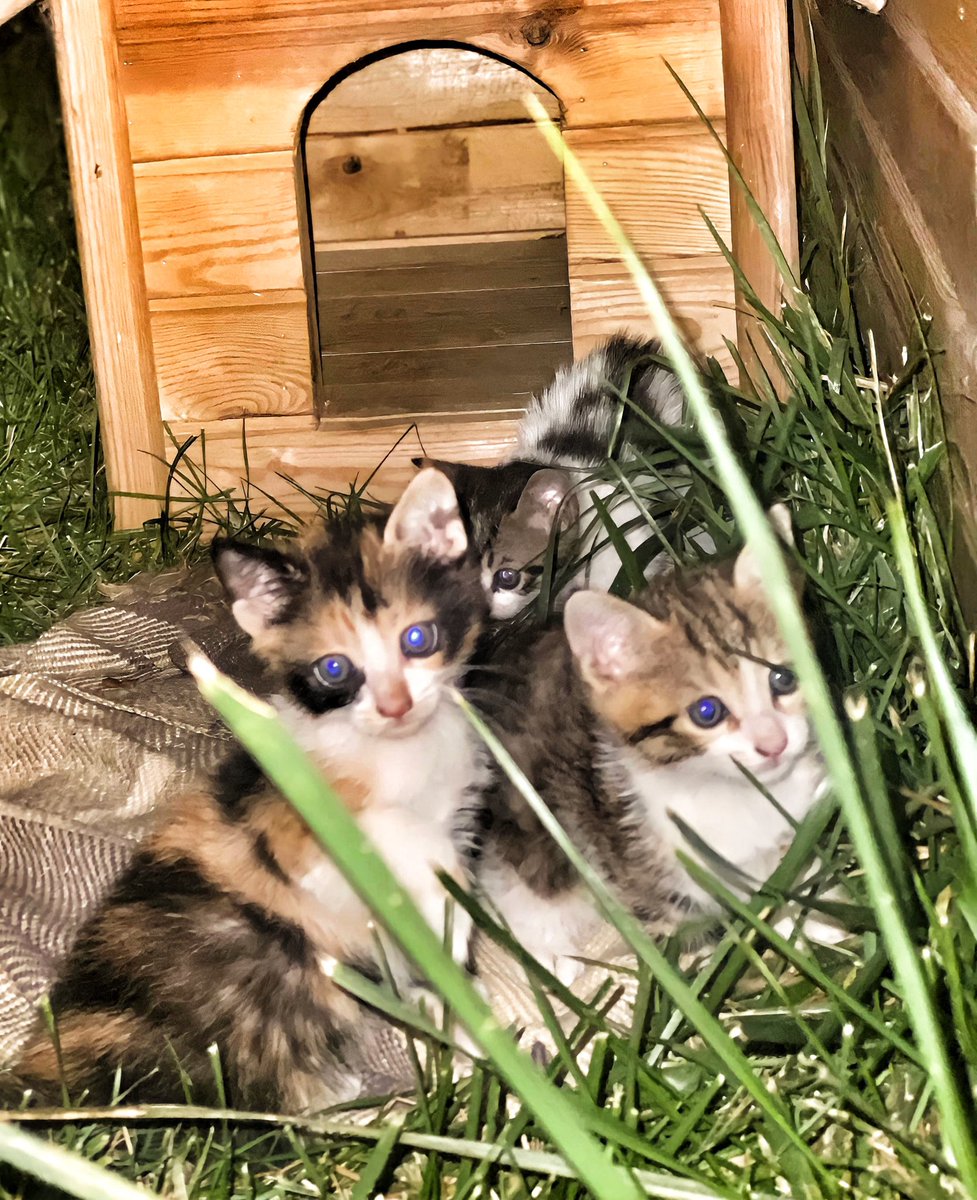 Nöbetin en güzel yanı