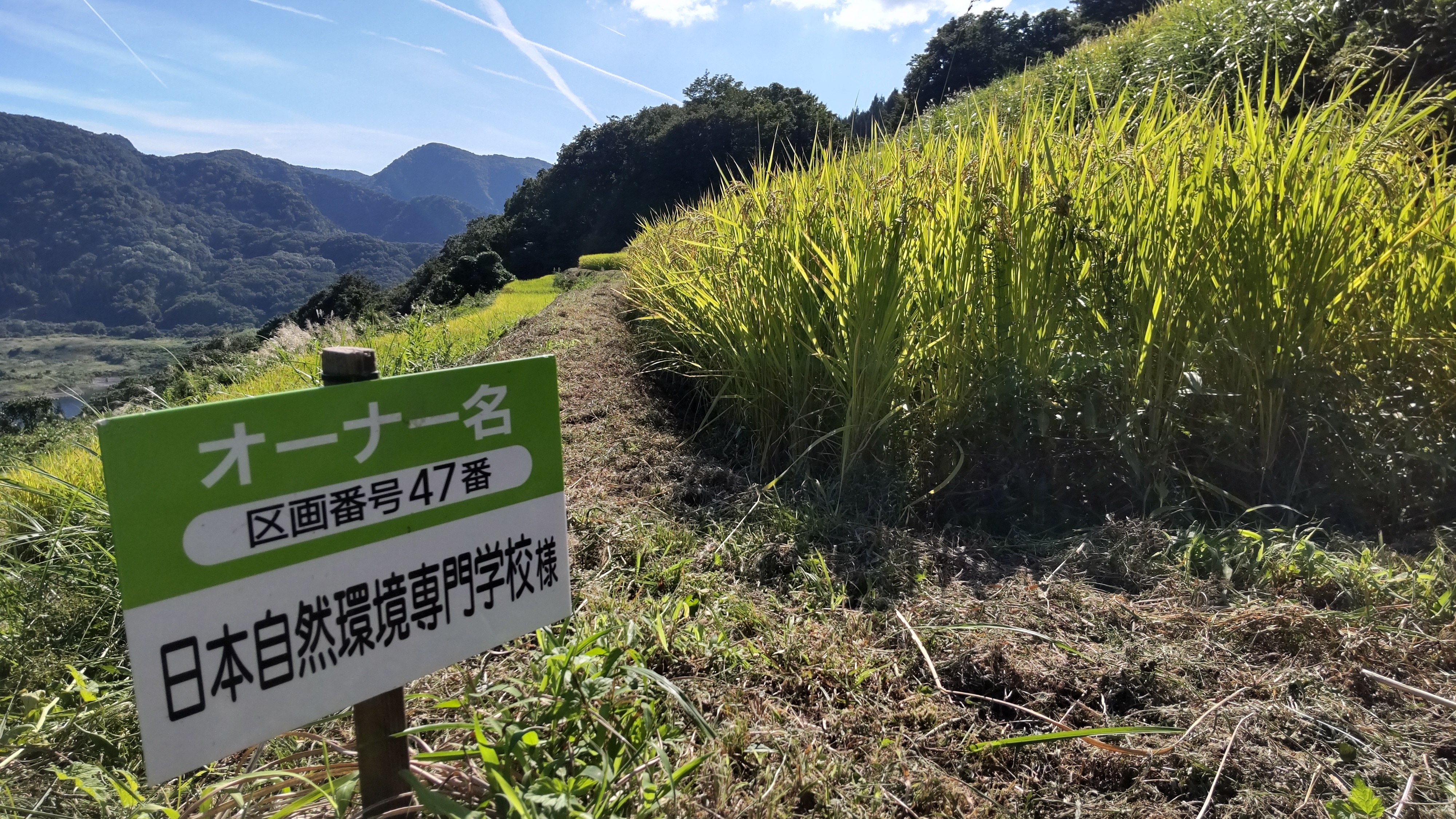 日本自然環境専門学校 公式 Jeco Caretech Twitter
