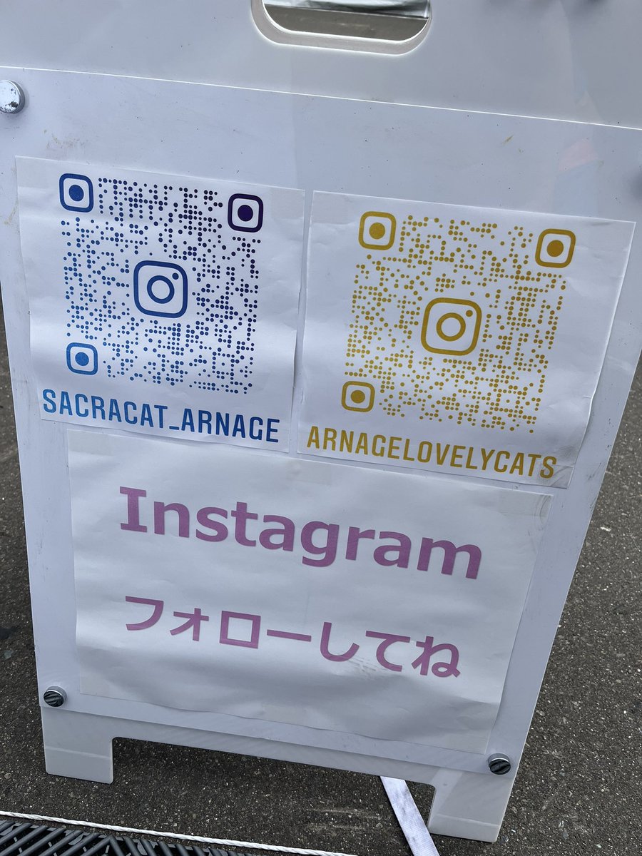 suzuno_yakumo's tweet photo. #ArnageRacing SNS フォローしてね🐱🧡💙

 #姫団　#supergt #sugo #菅生　#スポーツランドSUGO #アネスト岩田 #GiantKilling https://t.co/AxMD7G8YlC