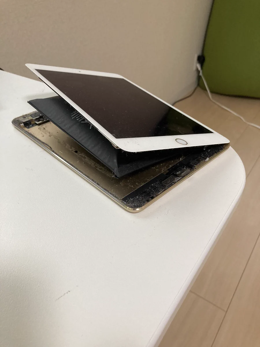 これは新種のホタテですか？いえ、ぱかーんと開いたiPadですｗ