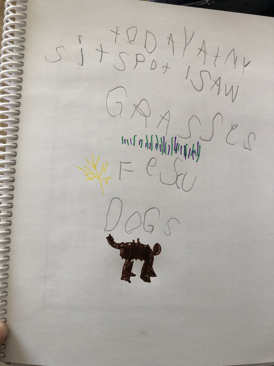 Room 11 set out to find our sit spots for the year. #landbasedlearning #wearecbe #twoeyedseeing