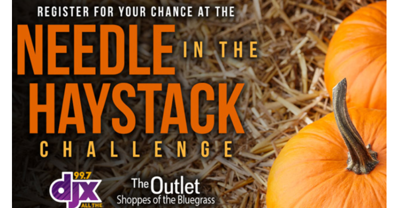 997DJX's tweet photo. Why WOULDN'T you get in to win $$$ to shop and other prizes at the Outlet Shoppes of the Bluegrass with the #NeedleintheHaystack?!