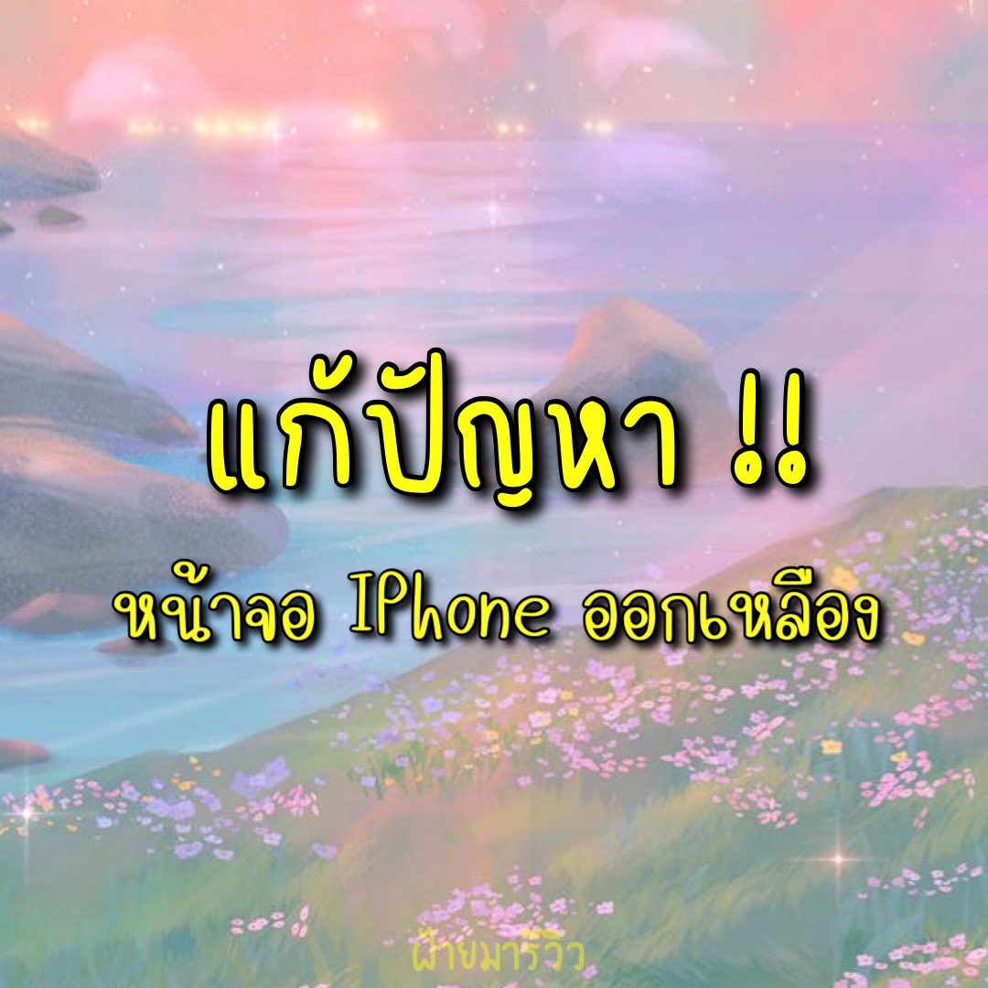 ปุยฝ้าย ♡ tweet media