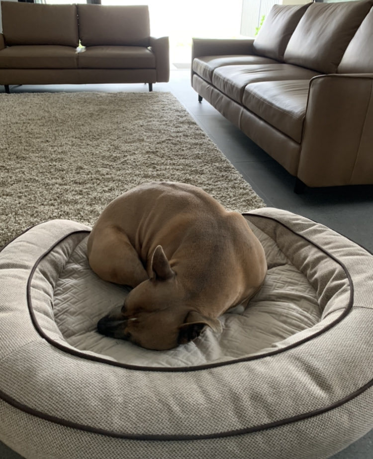 DiannaConstant2's tweet image. Pals, it seems Spring has managed to get itself lost this year. Yet again, it’s another cold, wet and gloomy Saturday. I’ll be snoozing right here if anyone needs me.😊#whereisspring #sendoutthesearchparty #soggysaturday