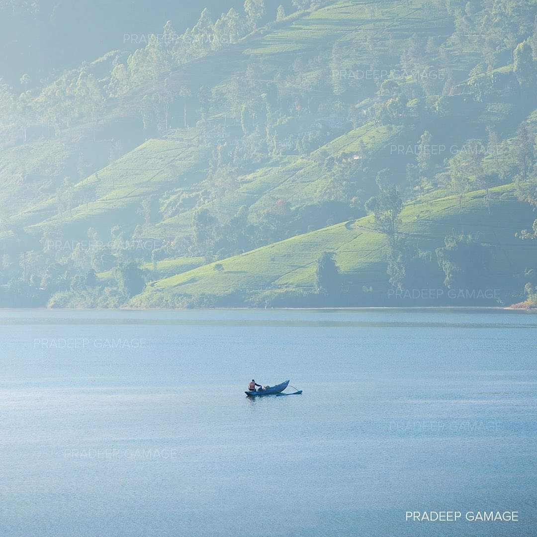 AzzamAmeen's tweet photo. "Sri Lanka open again for visitors. We need the support of all our friends to help our recovering tourism sector. It’s been a difficult year but, thanks to courageous struggles &amp; efforts of our people, there has been some positive change" @KumarSanga2

📸 Pradeep Gamage https://t.co/ZyyEOKnSZy