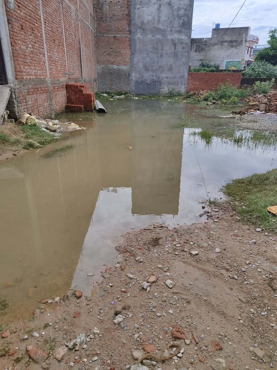 ManishS00088261's tweet photo. @jansunwai_up @CMOfficeUP @PMOIndia Its Lucknow UP India nearby Buddheshwar temple. Condition after Rain held yesterday. Request you to take some positive actions be it interlocking. Thanks. https://t.co/uJp1aBCaZG
