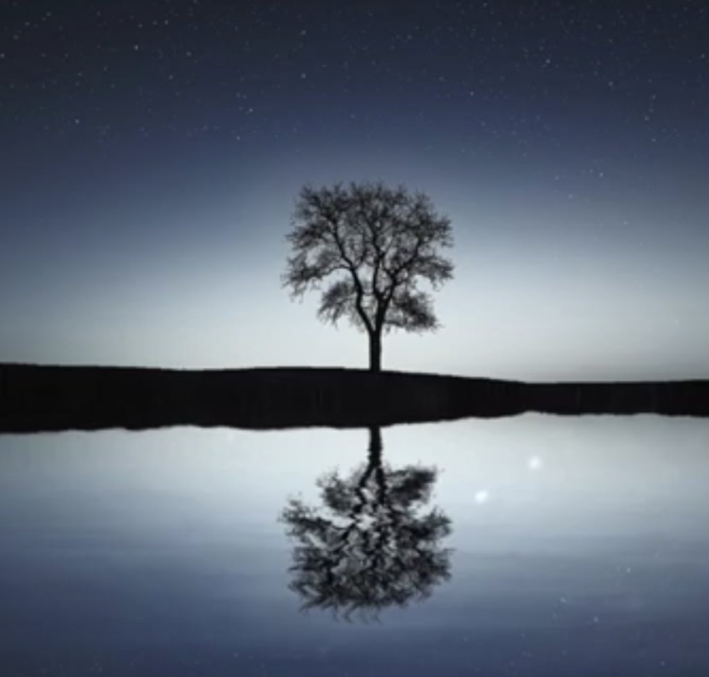 WatsonBrookes's tweet photo. The Lakeside - Relaxing Music For Mindfulness and Meditation. 1 Hour Of ... https://t.co/cdoL4U6qGU 

#relaxing #relax #nature #love #asmr #satisfying #relaxation #relaxtime #travel #beautiful #instagood #beauty #chill #happy #art #selfcare #meditation #calming #music #wellness https://t.co/akkVW6OtK8