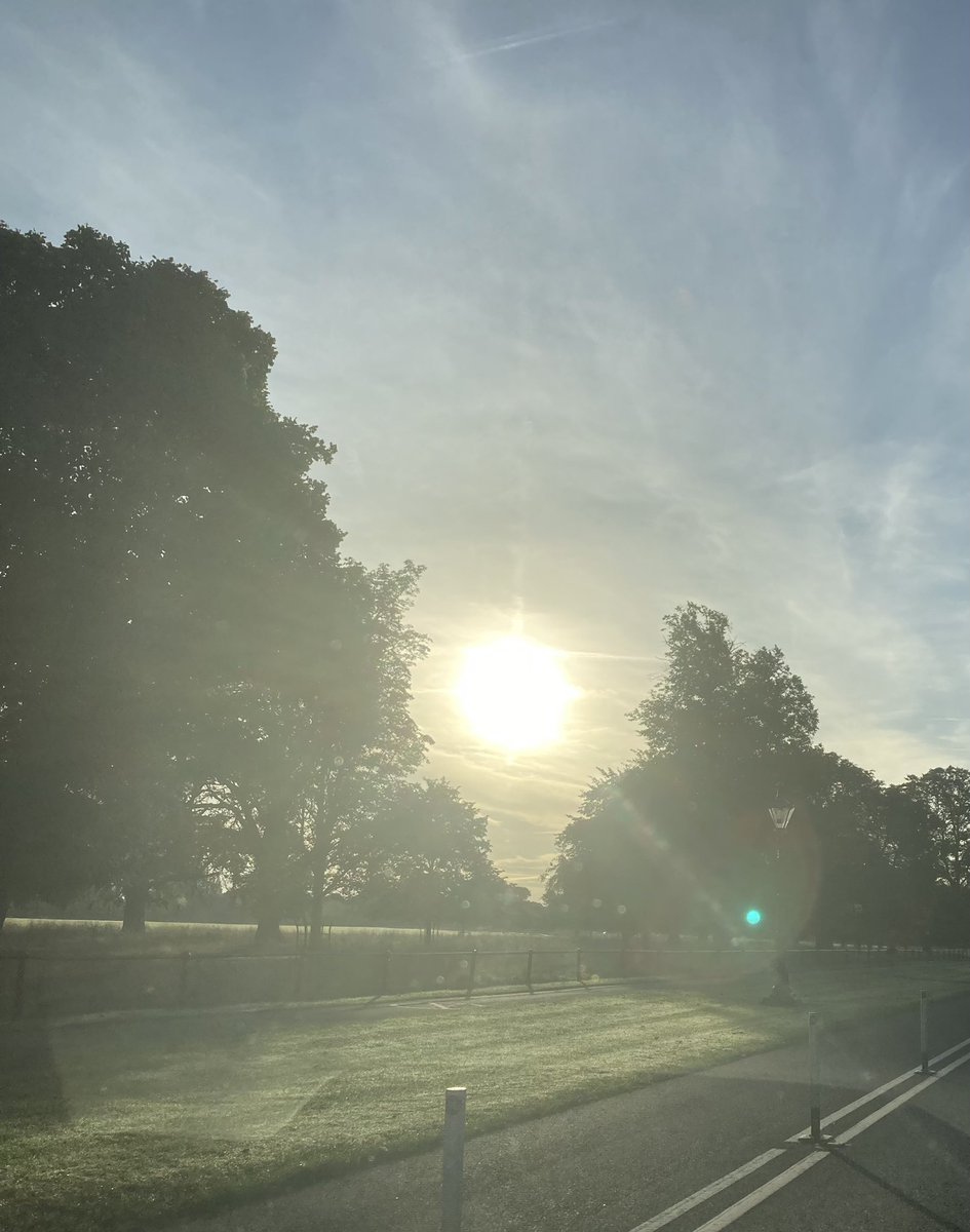 Geraldine Lavin tweet media