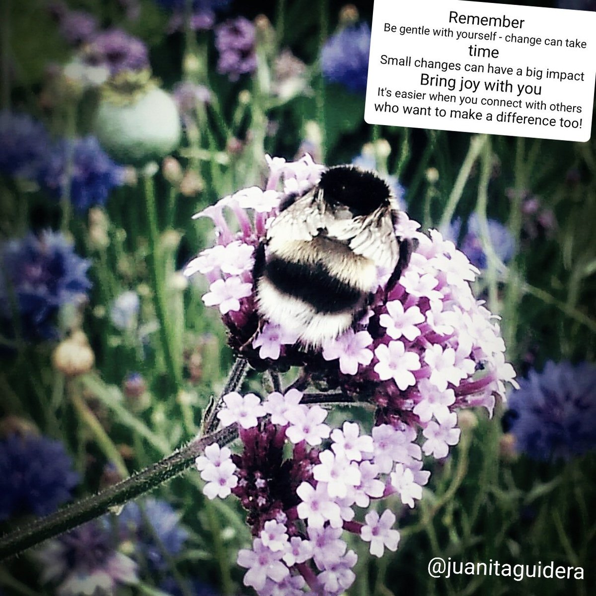 Happy World Patient Safety Day! If something's not working, ask can you change it.
*If you can, ask who would be willing to help. 
*If you can't, ask who can. 
*Connect with others for motivation and ideas. 
*Be kind to yourself - change can take time but it's worth it #WPSD2022