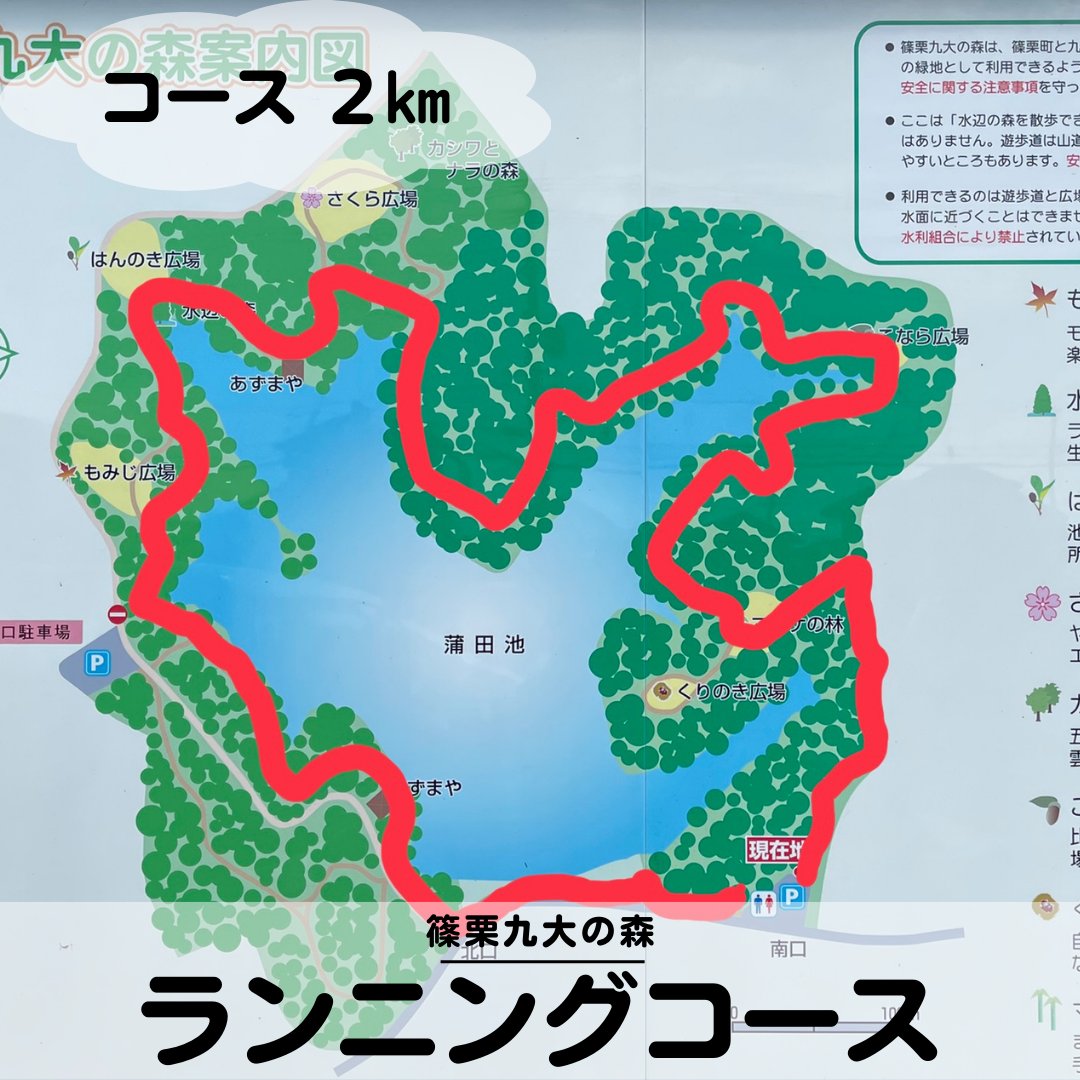 odekaketv's tweet photo. 【篠栗町】ランニングコース(2000m)@篠栗九大の森 https://t.co/eti1Px2byi via @YouTube 
#ランニング #running #ランニングコース #ジョギング #yoga #ジョギングコース #��歩 #散歩コース　#篠栗九大の森 https://t.co/QfjrTmSef6