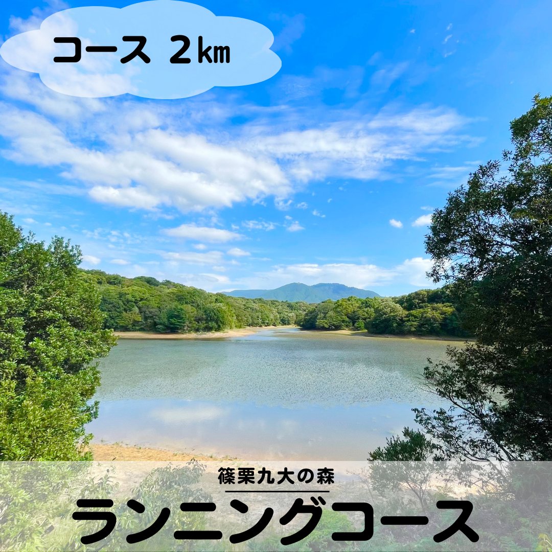 odekaketv's tweet photo. 【篠栗町】ランニングコース(2000m)@篠栗九大の森 https://t.co/eti1Px2byi via @YouTube 
#ランニング #running #ランニングコース #ジョギング #yoga #ジョギングコース #��歩 #散歩コース　#篠栗九大の森 https://t.co/QfjrTmSef6