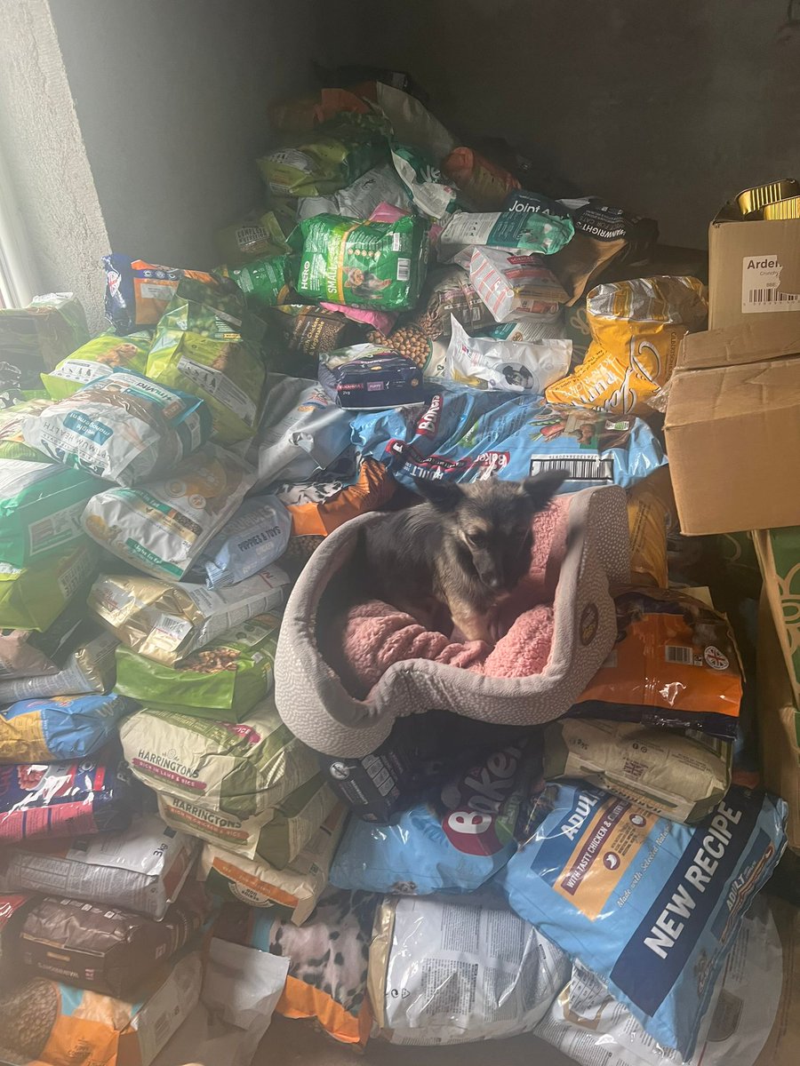 War Paws on Twitter "A new load of donated dog food just arrived at