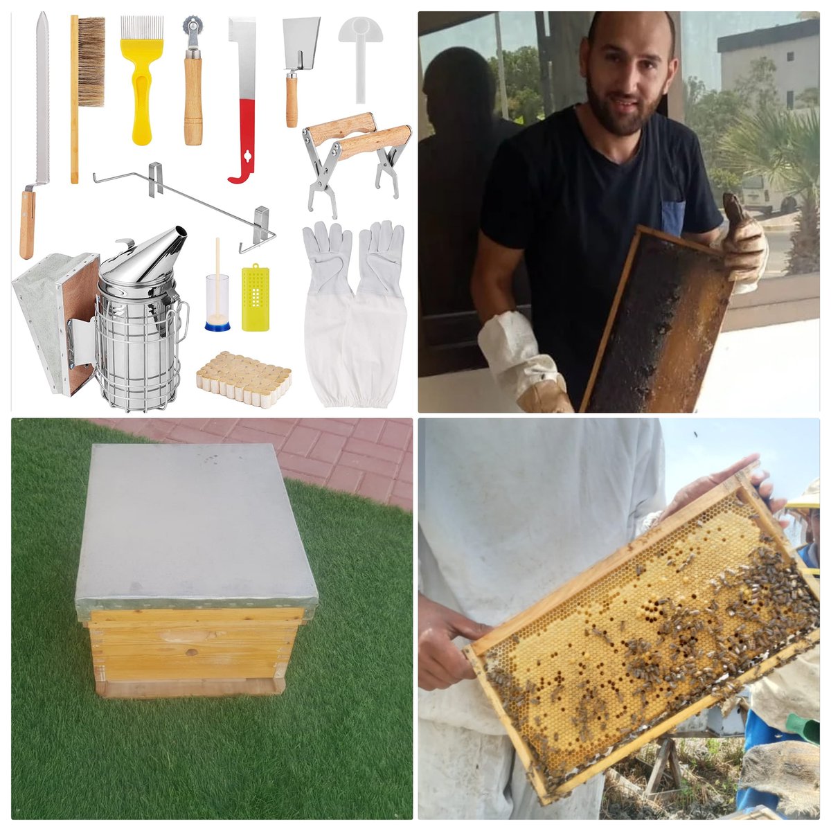 السلام عليكم
نعمل في مجال النحل وانتاج العسل والإشراف عليها وتجهيز مواقع النحل للتواصل
 0588934890
0525108700
api.whatsapp.com/send?phone=971…
instagram.com/ebrahimfarag20…
tiktok.com/@ebrahimfarg15