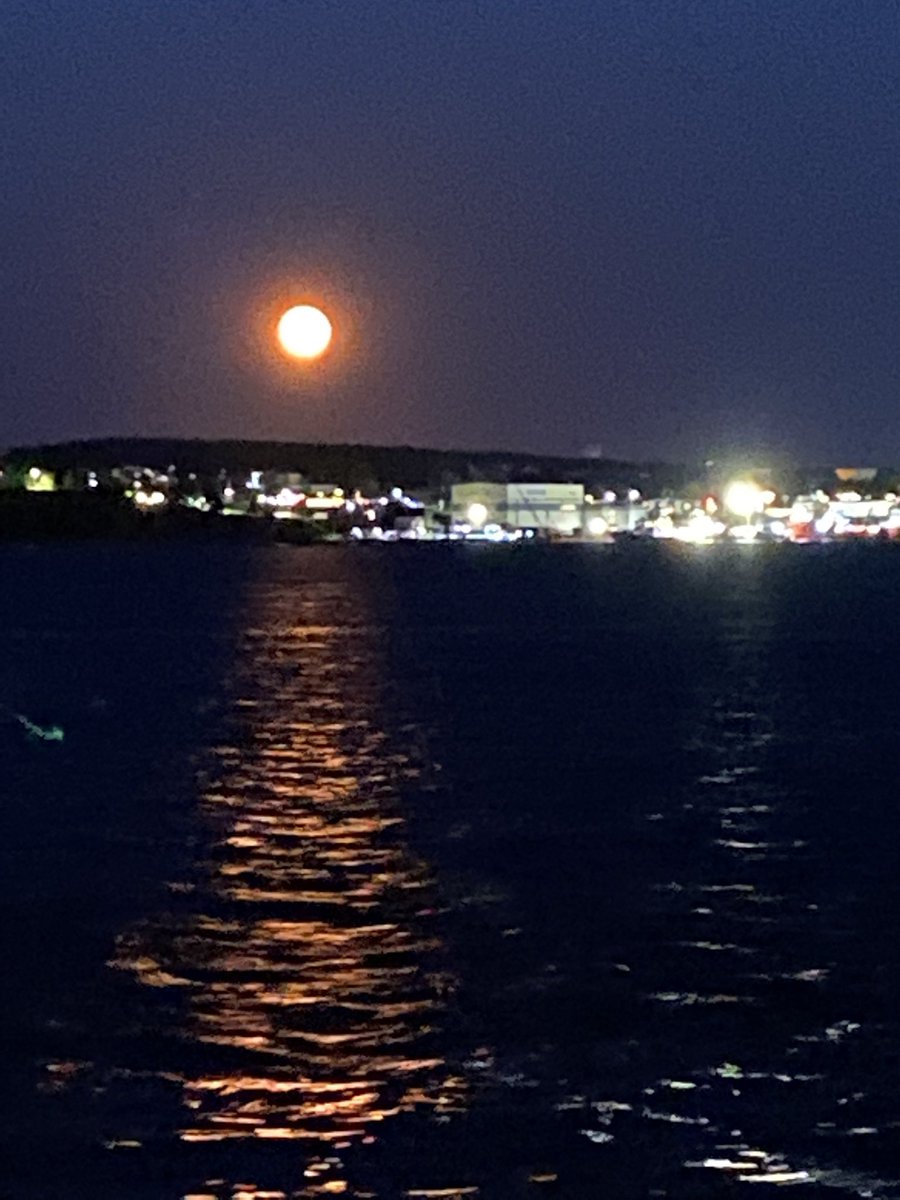 MistwalkerSteam's tweet image. Moon 🌝