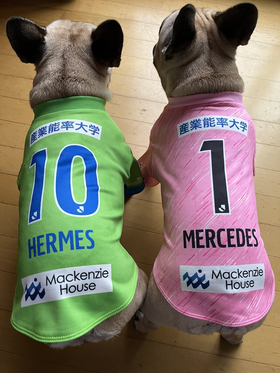 kouseee414's tweet photo. ついにベルサポデビュー
#bellmare https://t.co/trjSJv4XfE