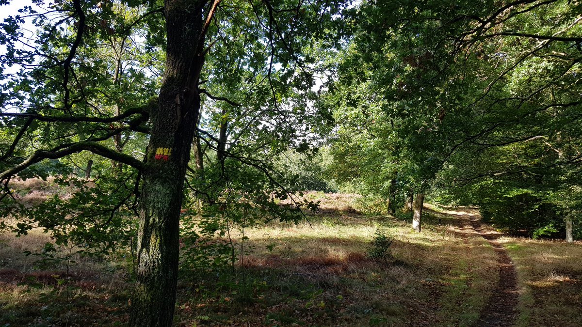 Het #drenthepad hervat. Gisteren van #Zuidlaren naar #Borger. Vandaag verder #wandelen naar #Emmen. Heerlijk weer, slechts een enkel drupje regen gehad. Vooral een prachtige route gelopen. #Genietenineigenland