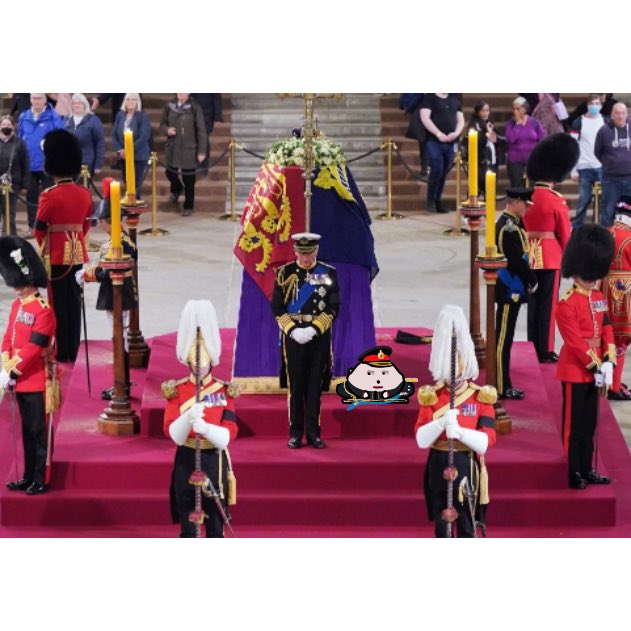 did you see toadz on tv?