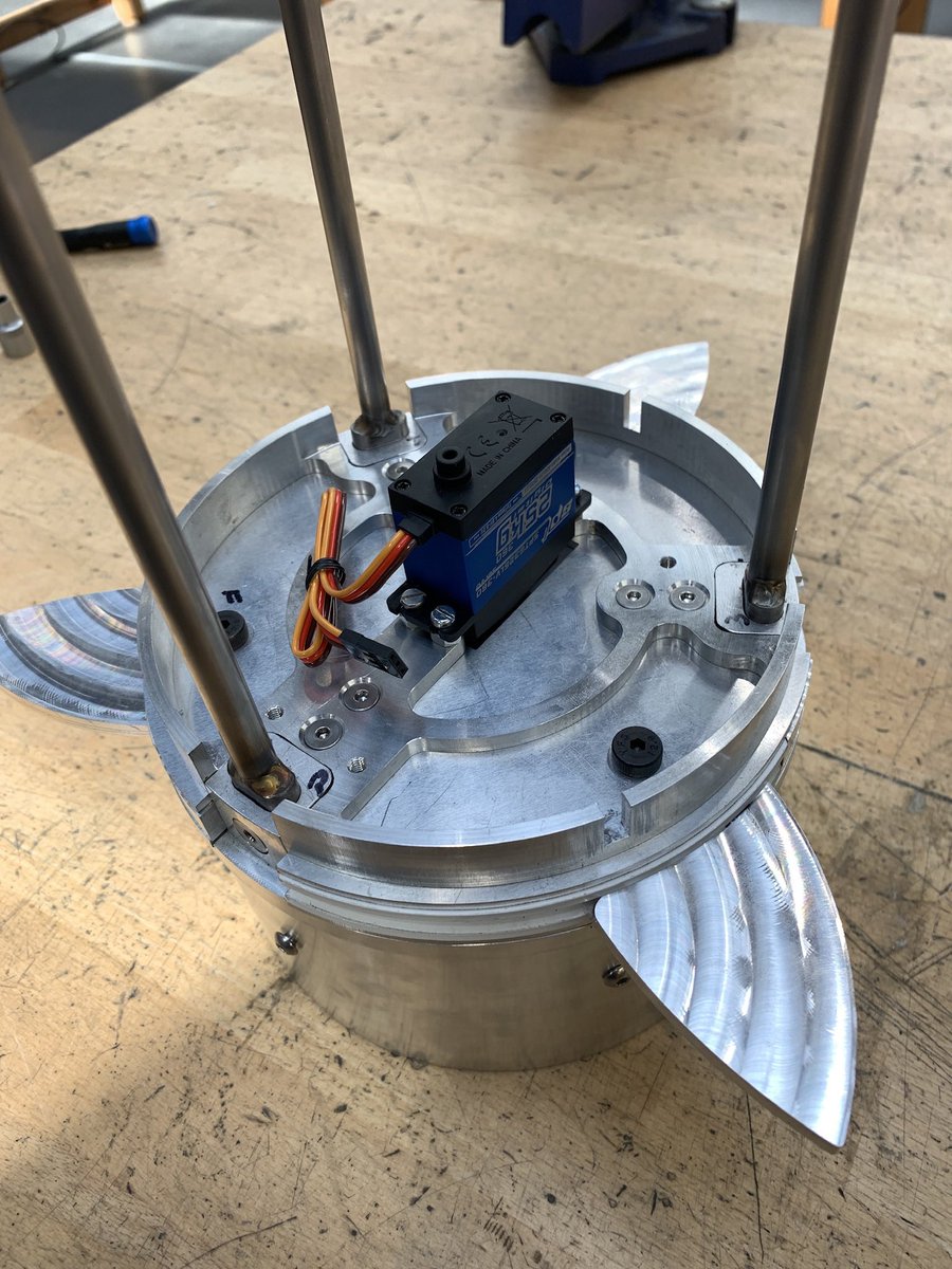 AProgida's tweet image. Just gotta get this guy to Portugal now!