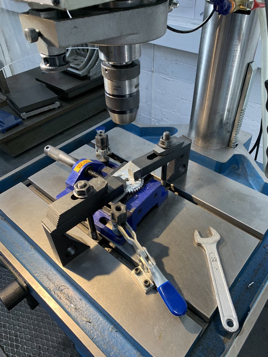 AProgida's tweet image. Just gotta get this guy to Portugal now!