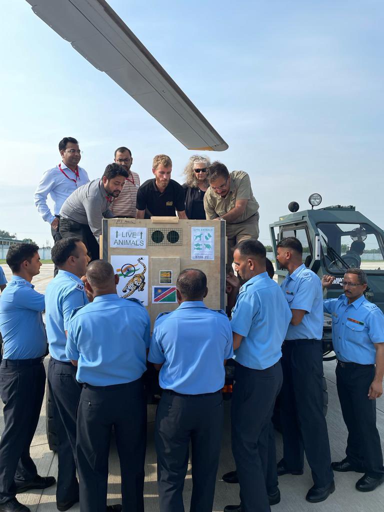 JM_Scindia's tweet photo. आखिरकार, मध्य प्रदेश में चीते का आगमन! 🐆🐆🇳🇦🇮🇳 
स्वागत!! https://t.co/xNaTgaHzXB