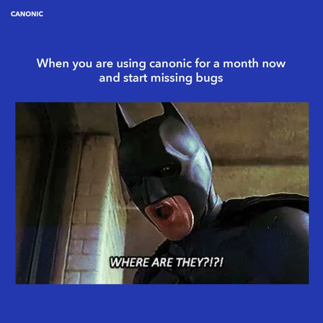 CanonicHQ's tweet photo. Let the games begin! 🦇
Here's to the Batman Day! Comment down your favorite quote from this ageless storytelling. 👇
#festivals #batmanday #batamn #developers #lowcode #nocode #API #technews #internaltools https://t.co/RIBH6tdEQo